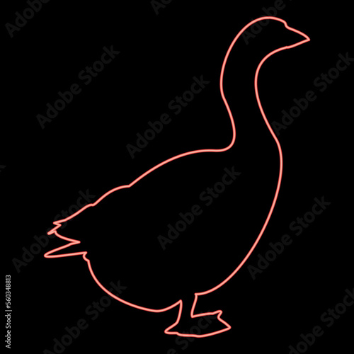 Neon goose Gosling Geese Anser Gander red color vector illustration image flat style