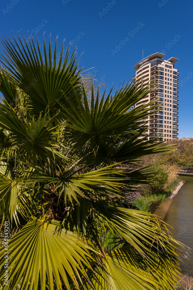 A beautiful mixed park with palm trees and a small pond next to a high-rise modern residential area in Barcelona, Catalonia, Spain