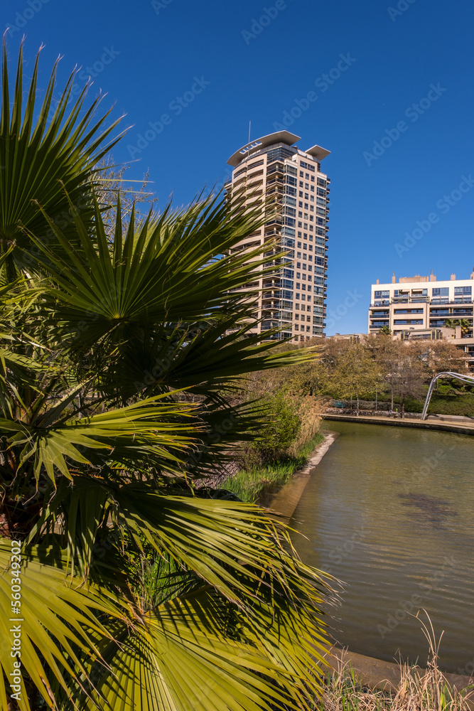 A beautiful mixed park with palm trees and a small pond next to a high-rise modern residential area in Barcelona, Catalonia, Spain