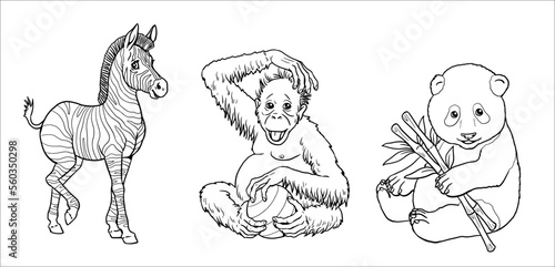 Cute zebra, orangutan and giant panda to color in. Vector template for a coloring book with funny animals. Coloring template for kids.