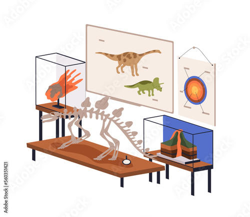 Geology, Paleontology classroom. Natural science subject for fossils and Earth study, education. Palaeontology class room with exhibits, skeleton. Flat vector illustration isolated on white background