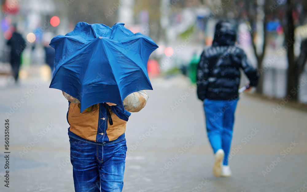 Strong wind blowing, man with blue umbrella. Man holding blue umbrella