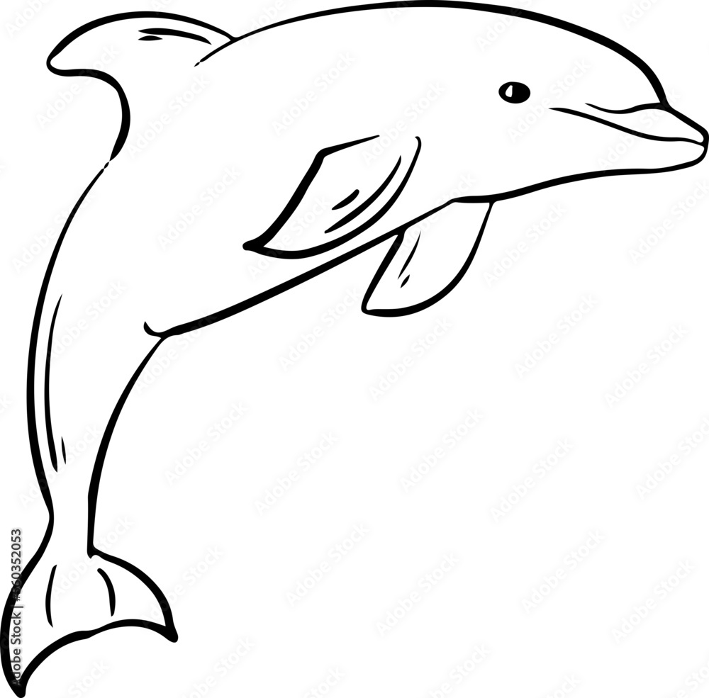 Obraz premium Sketch hand drawn dolphin jump aquatic and animal coloring