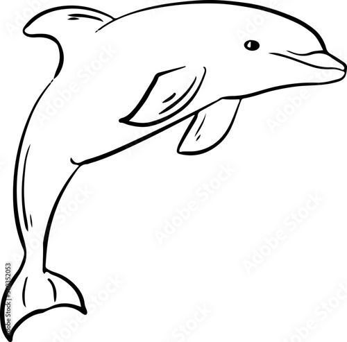 Sketch hand drawn dolphin jump aquatic and animal coloring