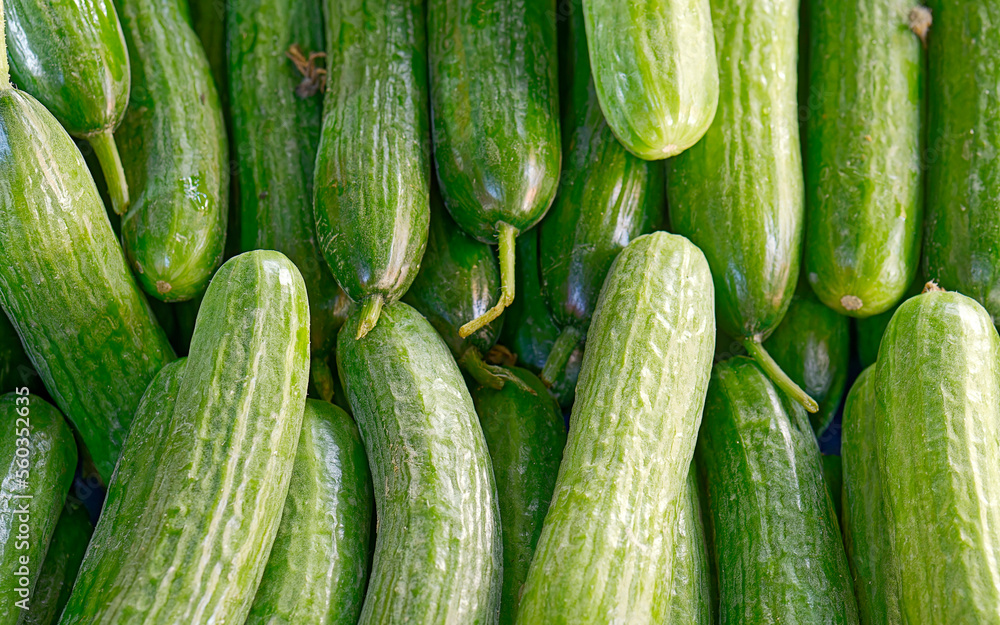 Organic green cucumbers top view close up, fresh vegan food background. Organic green cucumbers top view close up, fresh vegan food background.
