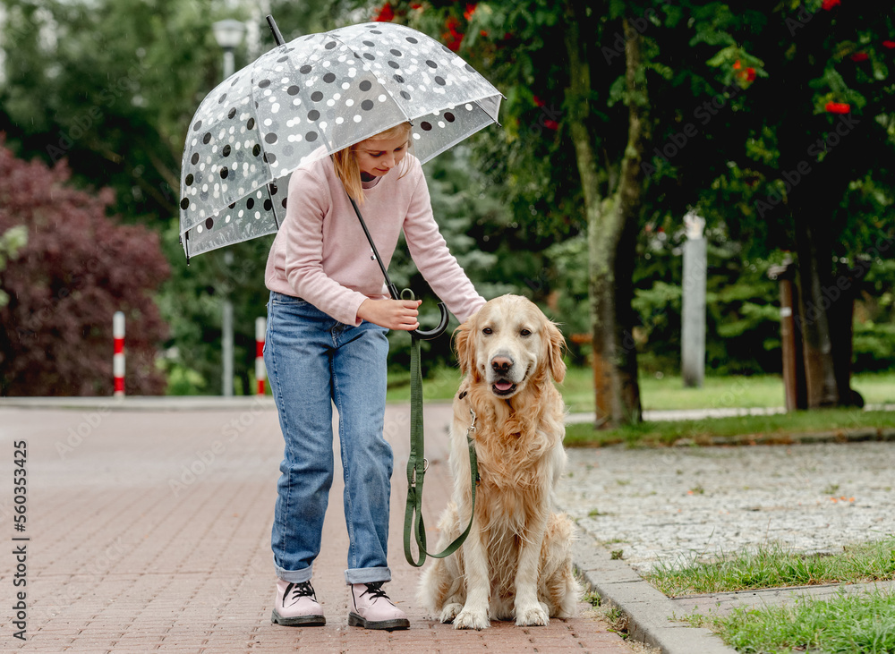 Preteen girl with golden retriever dog Stock Photo | Adobe Stock