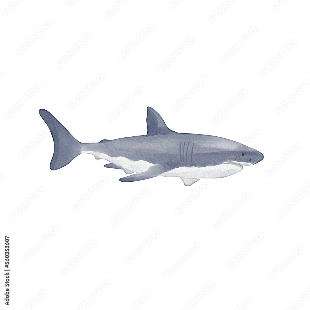 Obraz premium watercolor shark