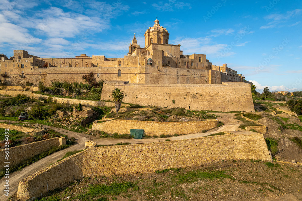 Mdina Silent City Cathedral in Malta. Aerial Drone view