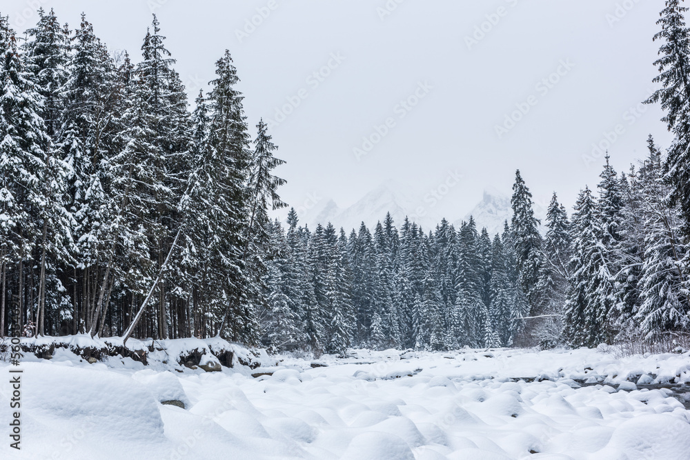 Fototapeta premium Winter landscape, snowy mountains and trees