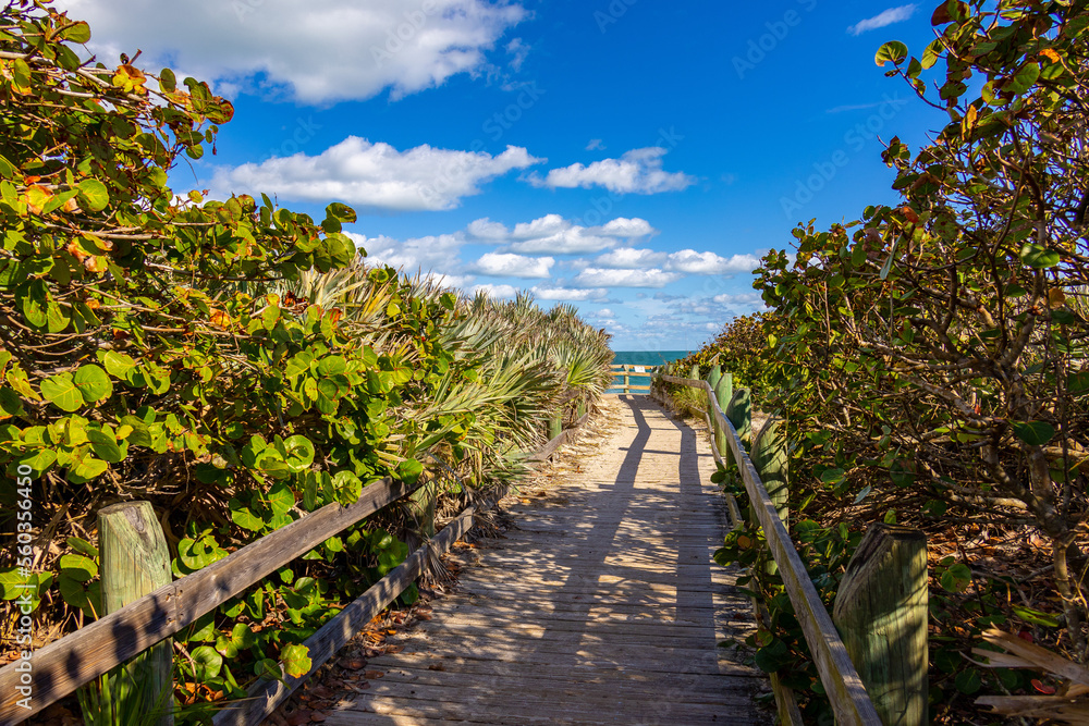 Sunny day after passing winter storm at Bonsteel park Sebastian Florida