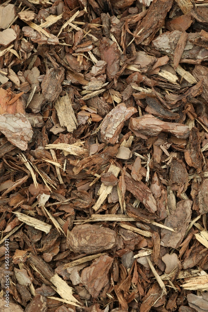 Tree bark pieces as background, top view Tree bark pieces as background, top view