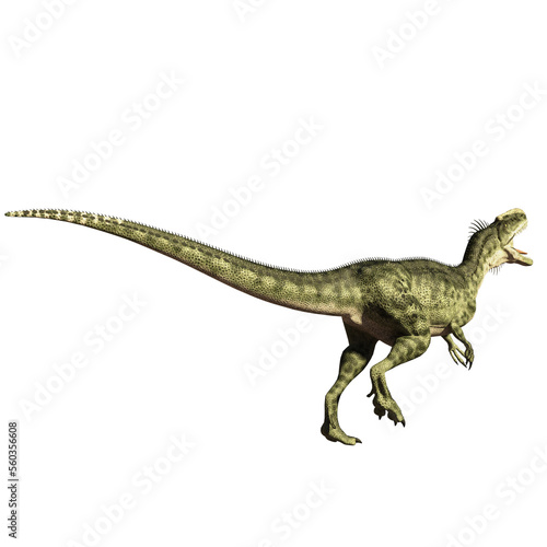 dinosaur megalosaurus 3d render © david
