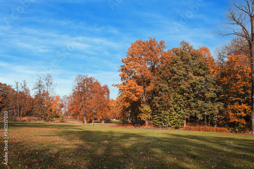 Picturesque view of park with beautiful trees and green grass on sunny day. Autumn season