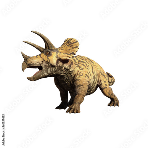 dinosaur triceratops 3d render © david