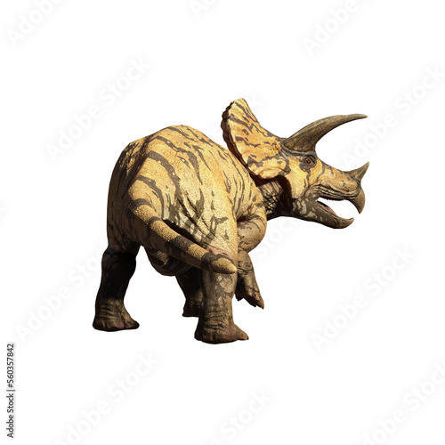 dinosaur triceratops 3d render