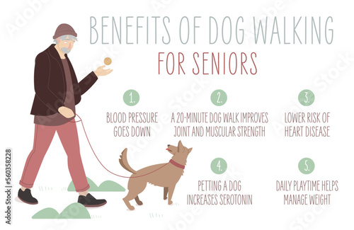 Old man walking a dog. Activity for seniors.