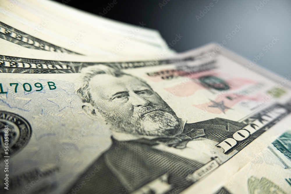 Portrait of US president Ulysses Simpson Grant on 50 dollars banknote closeup macro fragment. United states fifty dollars money bill Portrait of US president Ulysses Simpson Grant on 50 dollars banknote closeup macro fragment. United states fifty dollars money bill