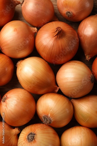 Many ripe onions as background, top view
