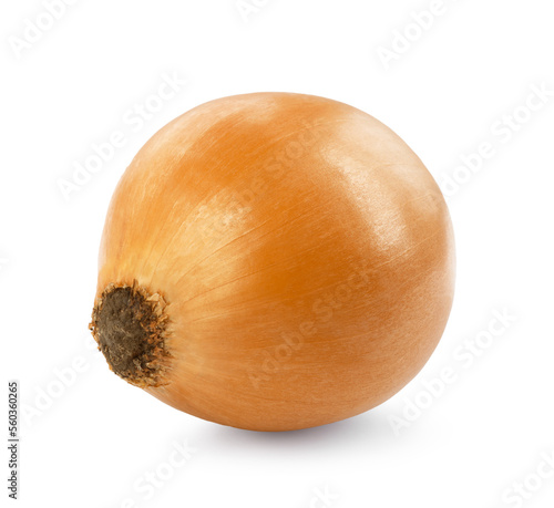 One yellow fresh onion isolated on white