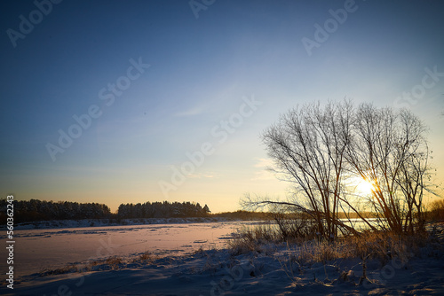 Sunrise on winter morning and trees with bare branches on a cold sunny time and snow on field