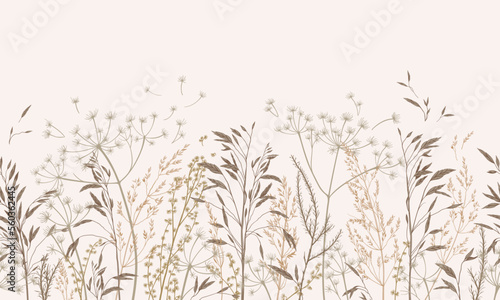 Vector illustration with wild and dry grass. Horizontal seamless pattern. Autumn field. Ornament for wallpaper, card, border, banner or your other design. Natural beige tones. Engraving.