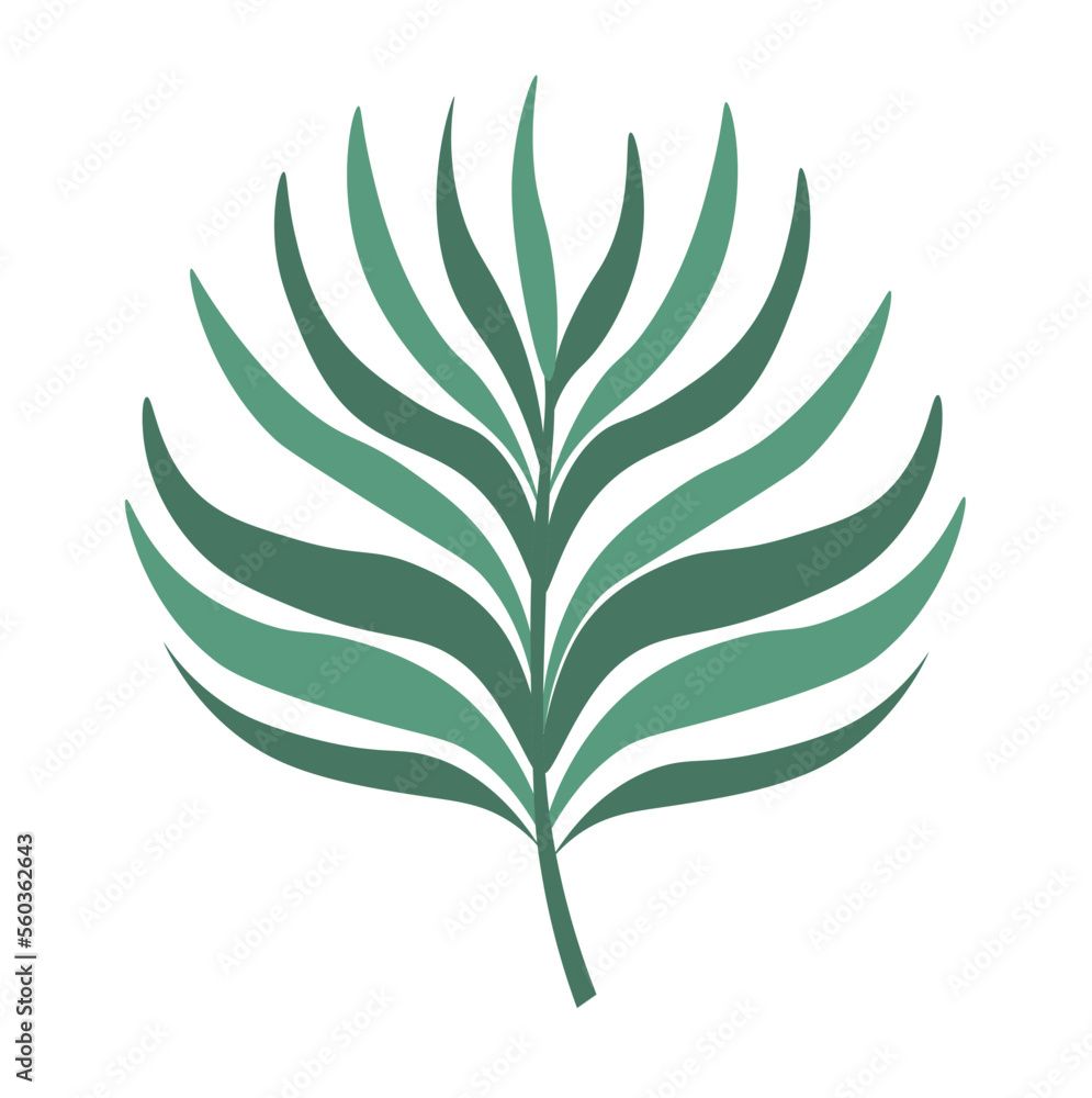 Tropical leafage and foliage, flowers and plants Tropical leafage and foliage, flowers and plants