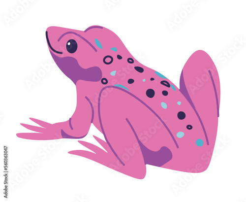 Tropic animals and reptiles, pink frog or toad