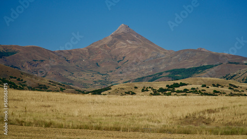 Steppe Anatolian landscape. Mountains and vegetation in the distance. Nature dried up in the summer heat.