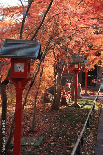 東京の紅葉