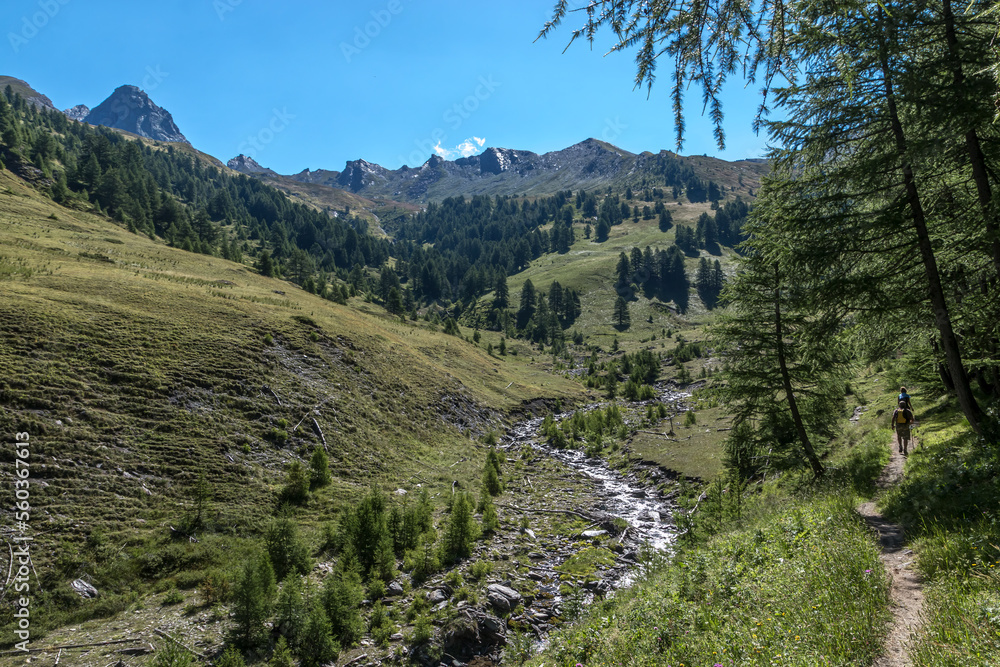 Torrent de Bouchet , Paysage du Queyras en été , Hautes-Alpes