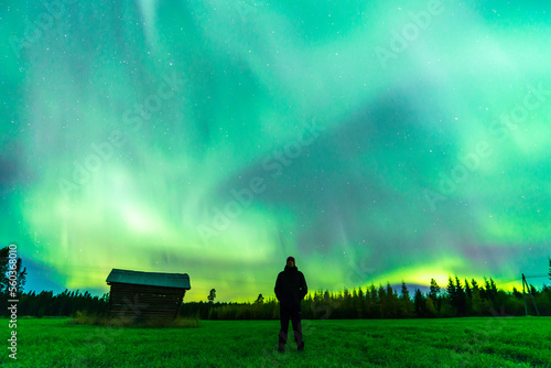 Man standing on a field looking at the northern lights. Österbotten/Pohjanmaa, FInland