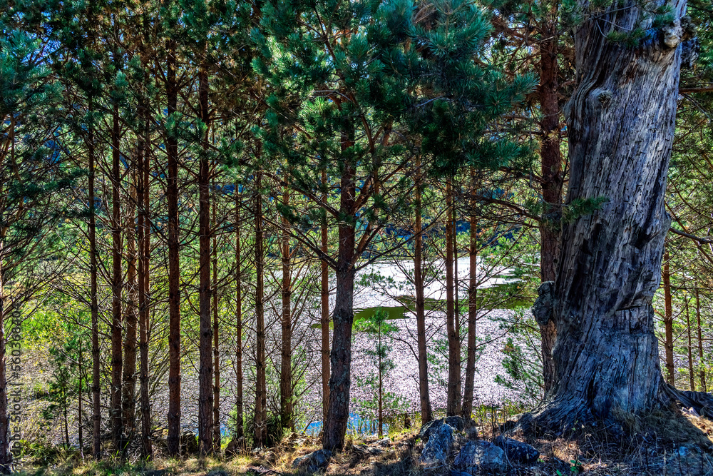 Obraz premium Laguna de la Cascada