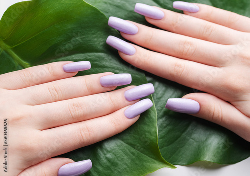 Soft violet female manicure with monstera leaf.