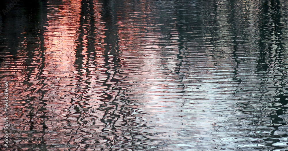 Abendstimmung am Ufer - evening mood at the lake shore Abendstimmung am Ufer - evening mood at the lake shore
