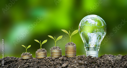 the light bulb sits on the ground Plants grow on stacked coins. Renewable energy production is essential for the future. Green businesses using renewable energy can limit climate change.