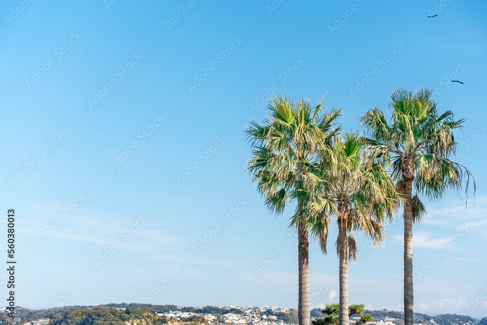 江の島弁天橋から見える景色