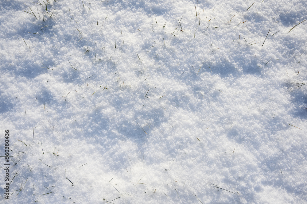 Obraz premium Beautiful winter background with snowy ground. Natural snow texture. Wind sculpted patterns on snow surface.