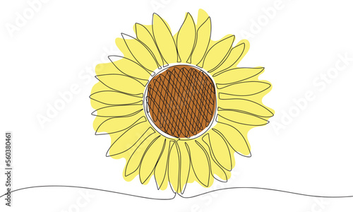 Hand draw sunflower with color. Vector illustration. One continuous line. Line art.