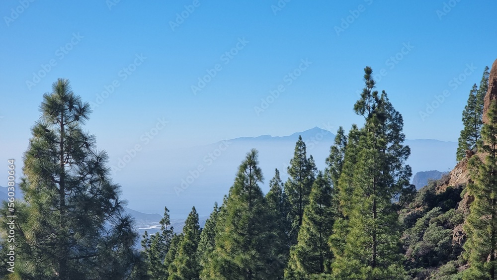 Obraz premium El Teide vulcano view near Roque Nublo, Gran Canaria, Spain