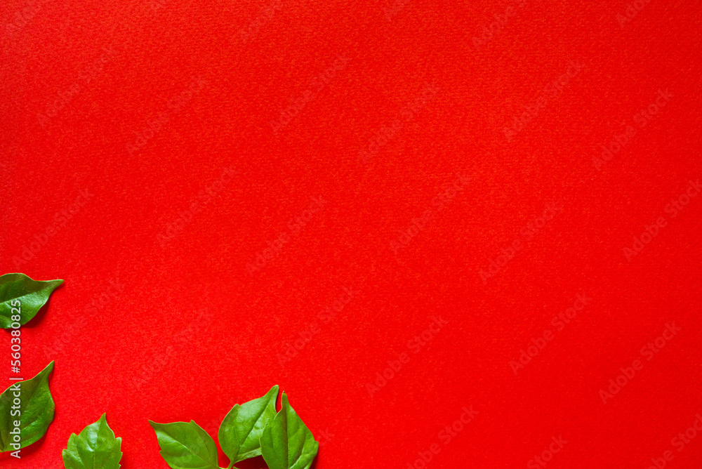 Obraz premium Young fresh green leaves on a red background. Bright background with place for text.
