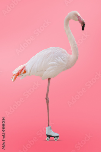 Flamingo roller