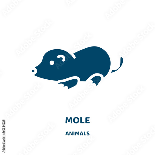 mole vector icon from animals collection. pest filled flat symbol for mobile concept and web design. Black bug glyph icon. Isolated sign, logo illustration. Vector graphics. photo