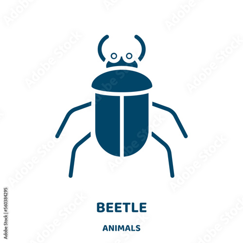 beetle vector icon from animals collection. insect filled flat symbol for mobile concept and web design. Black bug glyph icon. Isolated sign, logo illustration. Vector graphics.