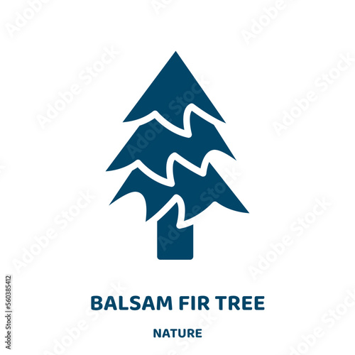 balsam fir tree vector icon from nature collection. pine filled flat symbol for mobile concept and web design. Black branch glyph icon. Isolated sign, logo illustration. Vector graphics.