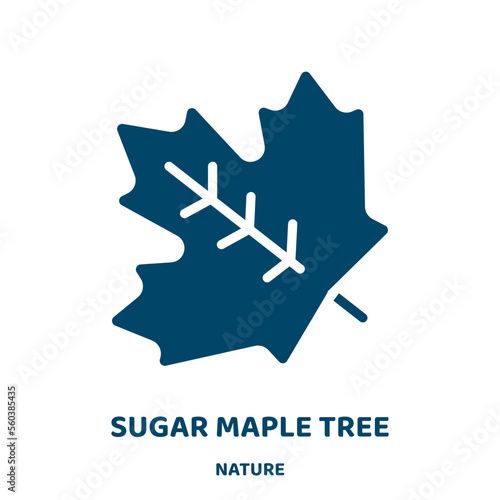 sugar maple tree vector icon from nature collection. leaf filled flat symbol for mobile concept and web design. Black maple glyph icon. Isolated sign, logo illustration. Vector graphics.