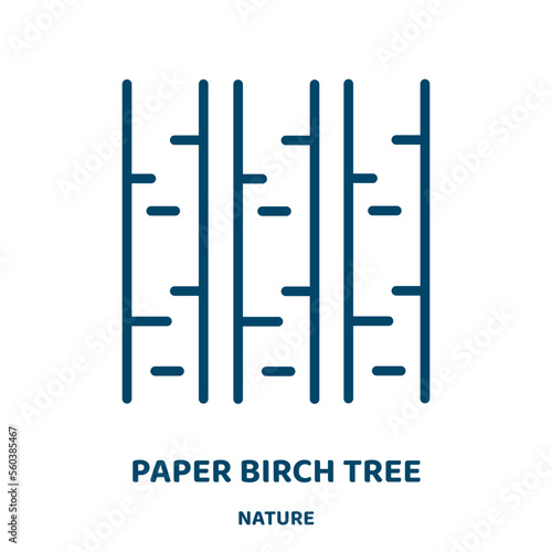 paper birch tree vector icon from nature collection. season filled flat symbol for mobile concept and web design. Black tree glyph icon. Isolated sign, logo illustration. Vector graphics.