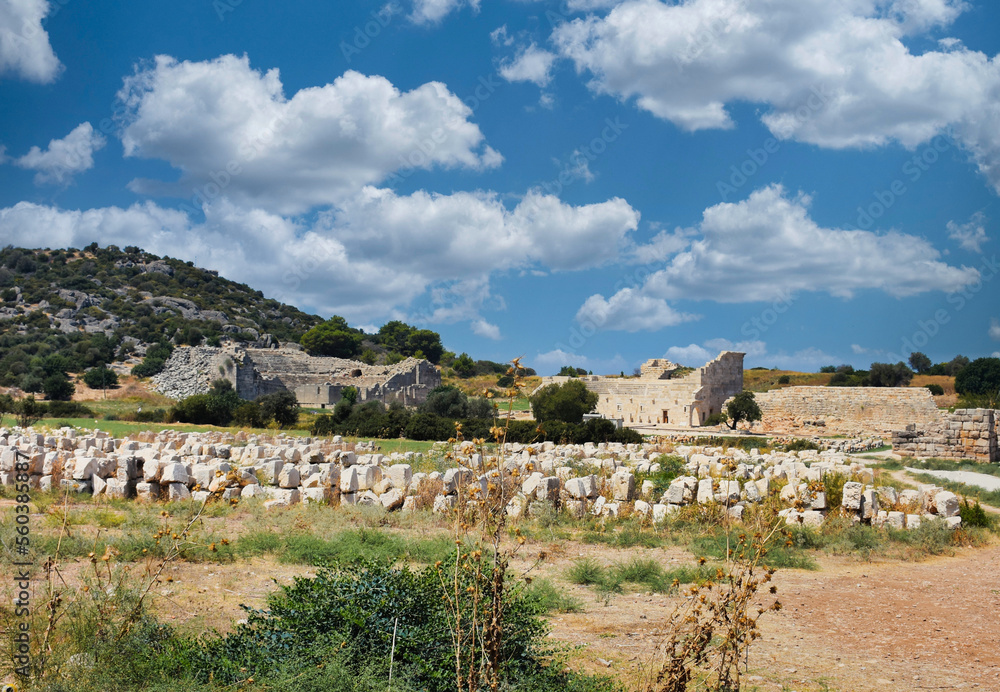 Patara Ruins, Lycia, Turkey. Patara, the capital of ancient Lydia, was a maritime and commercial city. Patara has  beaches where the Mediterranean turtles Caretta-Caretta have laid their eggs.