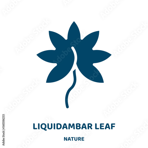 liquidambar leaf vector icon from nature collection. poplar filled flat symbol for mobile concept and web design. Black botany glyph icon. Isolated sign, logo illustration. Vector graphics.