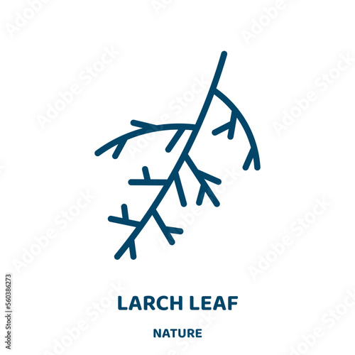 larch leaf vector icon from nature collection. tree filled flat symbol for mobile concept and web design. Black forest glyph icon. Isolated sign, logo illustration. Vector graphics.