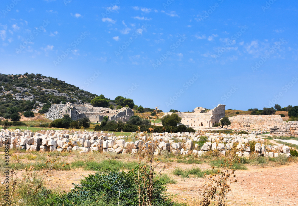 Patara Ruins, Lycia, Turkey. Patara, the capital of ancient Lydia, was a maritime and commercial city. Patara has  beaches where the Mediterranean turtles Caretta-Caretta have laid their eggs.
